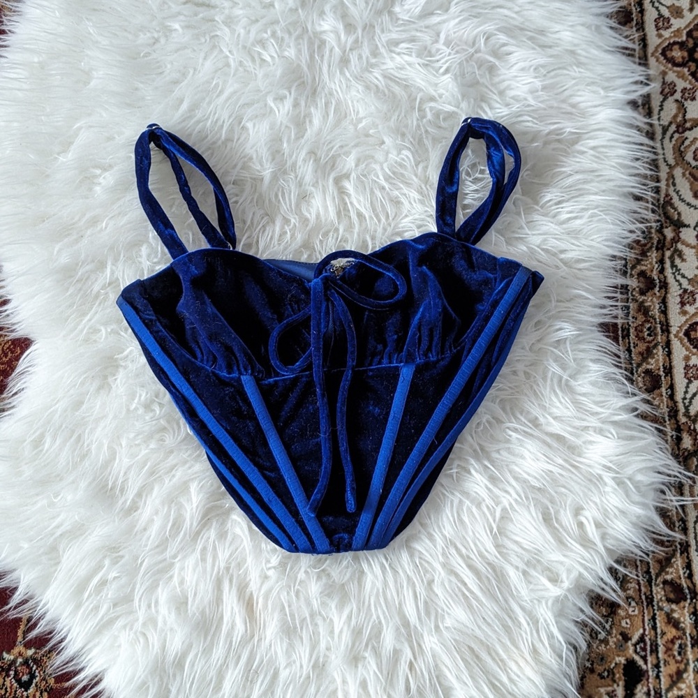 Blue Velvet Corset Top